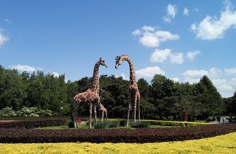 Zoological and Botanical Garden of Changchun