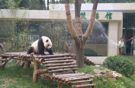 Wuxi Zoo