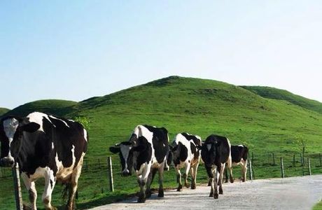 Nanshan Ranch