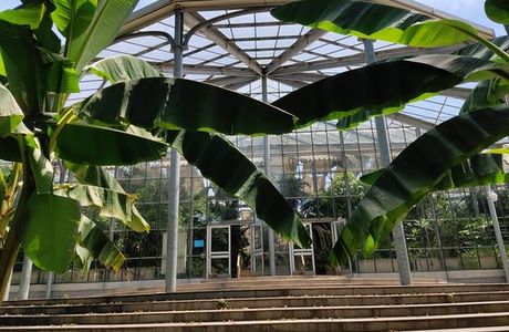 Botanical Garden of Chinese Academy of Sciences