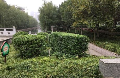 Qianjiang Forest Park