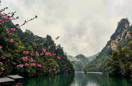 Zhangjiajie Xianren Stream