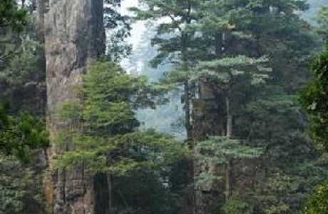 Tian'eshan National Forest Park