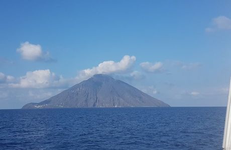 Scari