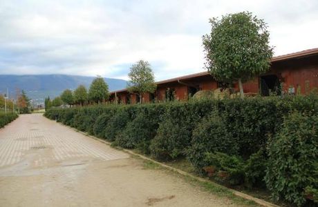 Le Lame - Horses Sporting Club