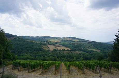 Monte Bernardi