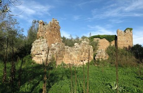 Necropoli Rupestri di San Giovenale e Terrone