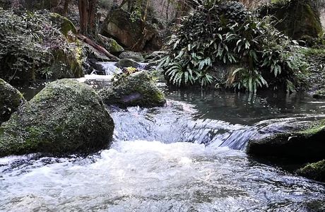 Cascate di Monte Gelato