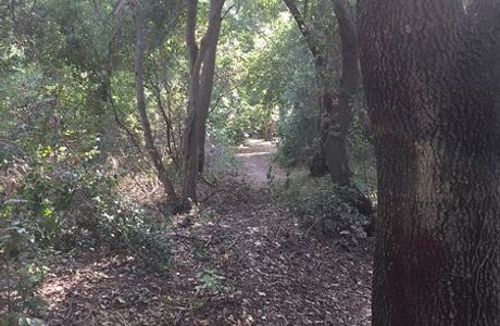 Oasi Bosco di Palo