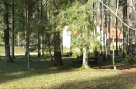 Foresta Regionale del Prescudin