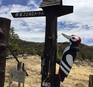 Kitayatsugatake Rope Way