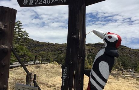 Kitayatsugatake Rope Way