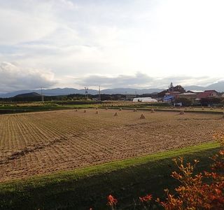 Kazeyoke no Matsu