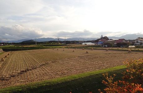 Kazeyoke no Matsu