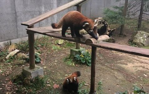 Ishikawa Zoo 1