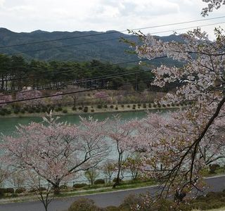 Kojinyama Park