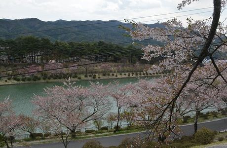 Kojinyama Park