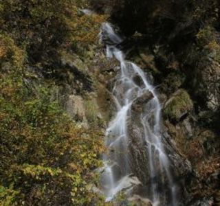 Tori Falls