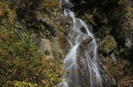 Tori Falls