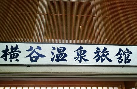 Yokoyaonsen Ryokan Higaeri Onsen