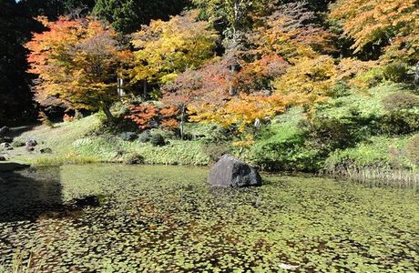 Josenji Temple