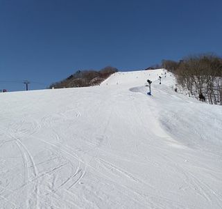 Evergreen International Ski School