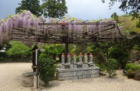 Rinsenji Temple