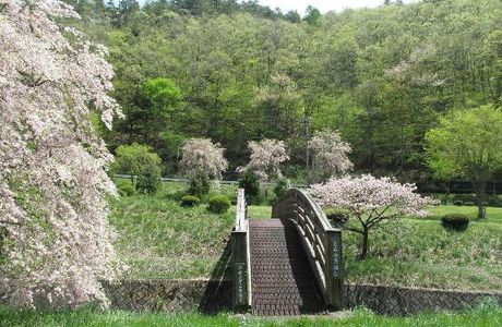 Nakazawa Ikoinosato Park