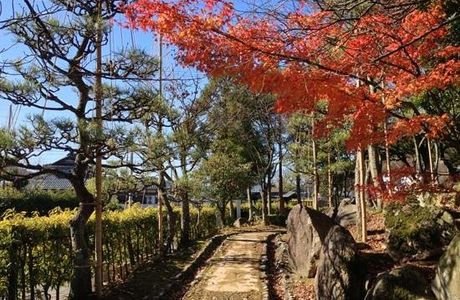 Murasakishikibu Park