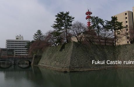 Fukui Castle Ruins