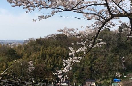 Mt. Utatsu