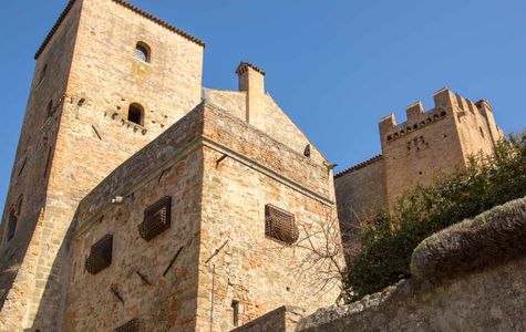 Castello di Monselice 1