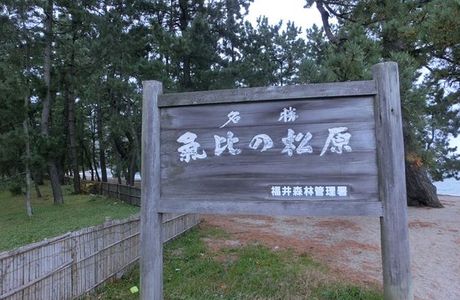 Kehi no Matsubara