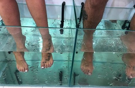 Fish Spa Blue