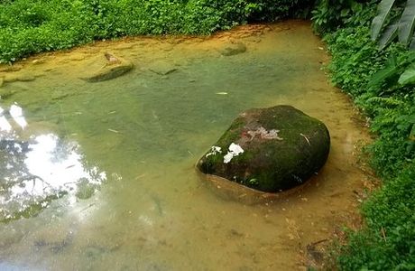 River Sallee Sulfur Springs