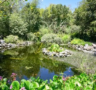 Jardín Botánico de Quito