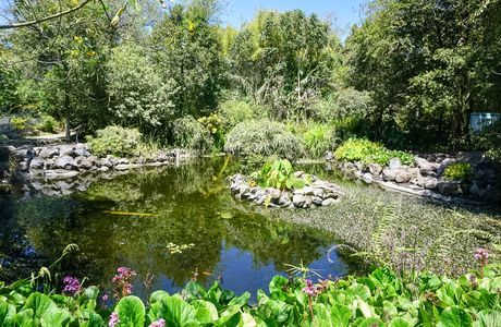 Jardín Botánico de Quito