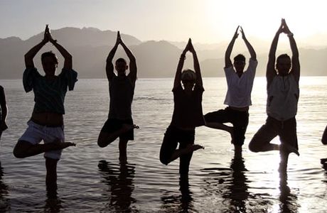 Discover Your Depths Yoga, Meditation & Freediving
