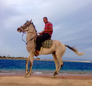 Horseriding Dahab