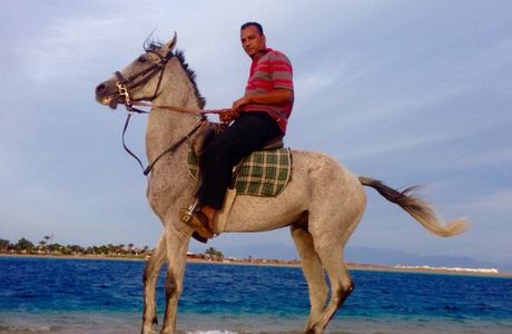 Horseriding Dahab