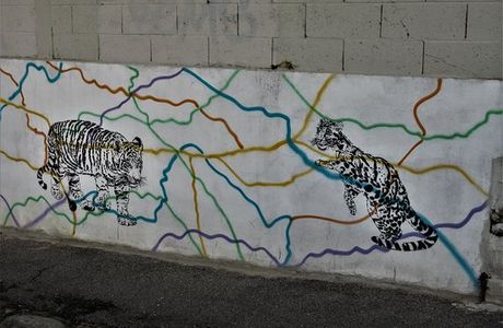Fresque Felins