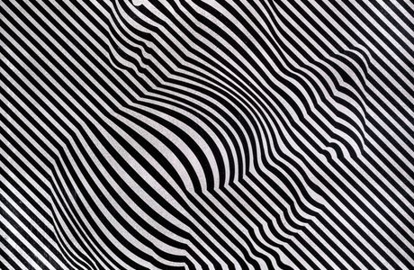 Fresque Le Zebre-2