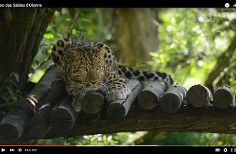 Zoo des Sables