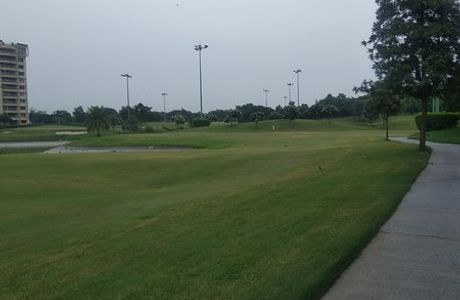 Ambience Golf Greens