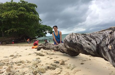 Liwungan Island