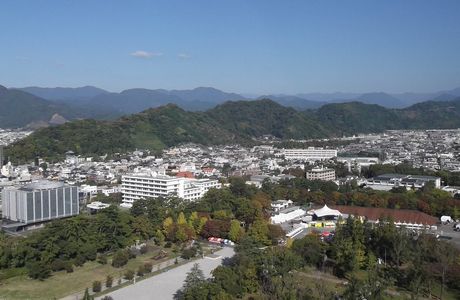 Tonaka