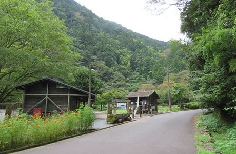 Shimizu Forest Park Yasuragino Mori
