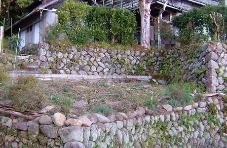 Museum Mori