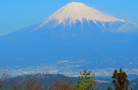 Hamaishidake