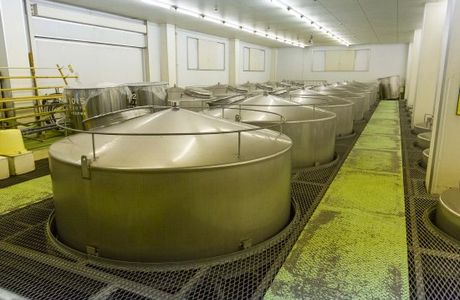 Kamoizumi Sake Brewery